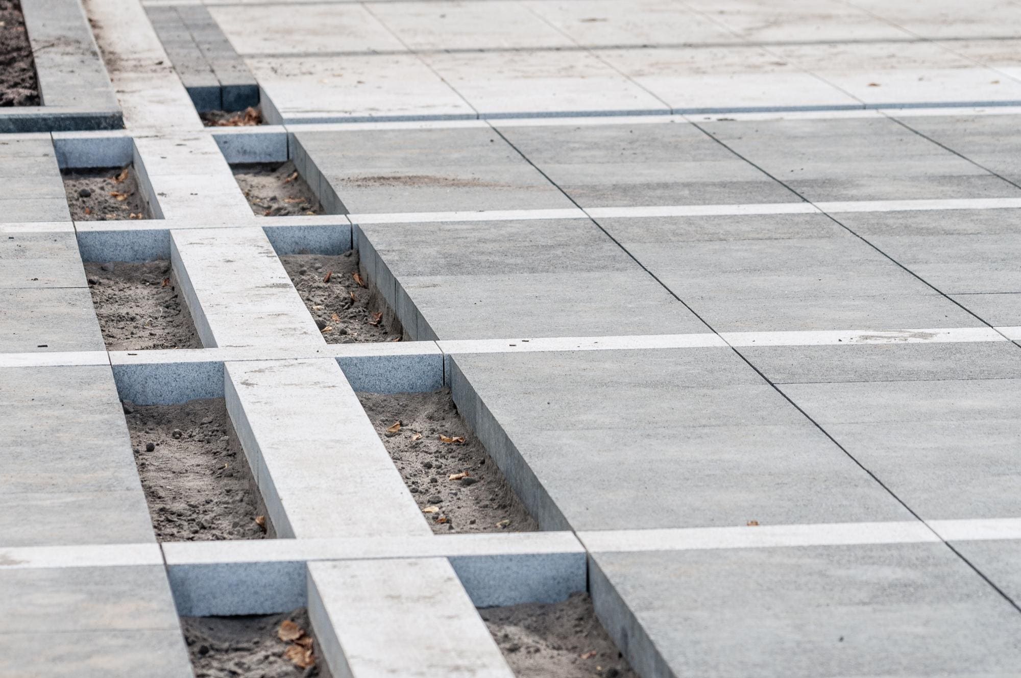 25-CDM Coatings-Banner 25-CDM Coatings-Banner